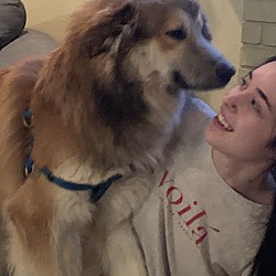 Photo of Baby boy 