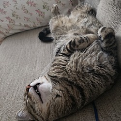 Photo of Marvin