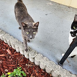 Photo of Bella and Annie