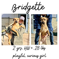 Thumbnail photo of Bridgette #1