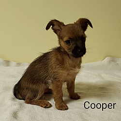 Thumbnail photo of Cooper-hold #1