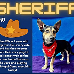 Photo of Sheriff