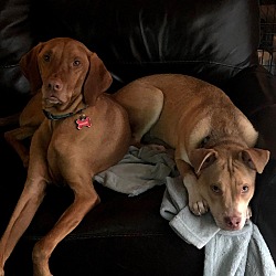 Photo of Ranger