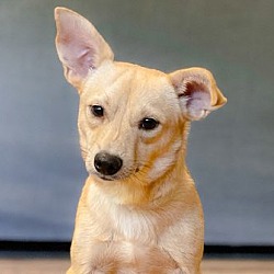Photo of Jack