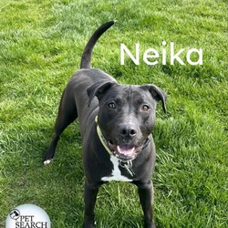 Thumbnail photo of Neika #1