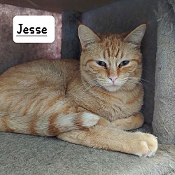 Thumbnail photo of Jessie #3