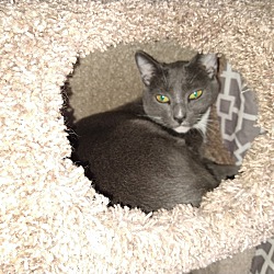 Photo of Dakota