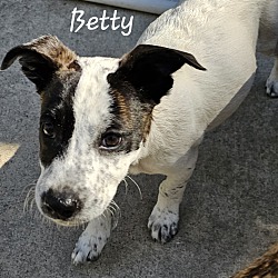 Thumbnail photo of Betty #4