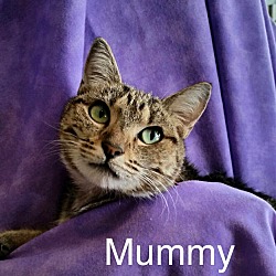 Photo of Mummy