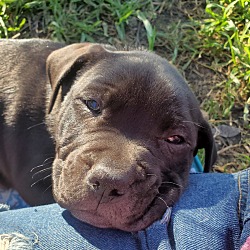 Photo of TIPPER