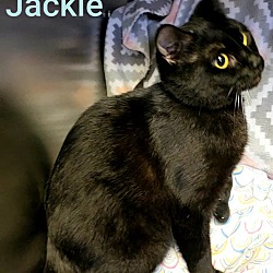 Thumbnail photo of Jackie #4