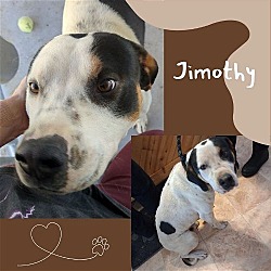 Thumbnail photo of Jimothy #3