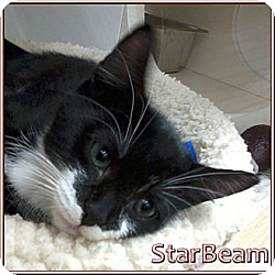 Photo of StarBeam