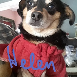 Photo of Helen