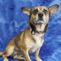 Photo of YOGI