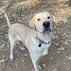 Photo of Hudson