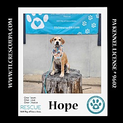 Thumbnail photo of Hope (Summer Loves) 062924 #4
