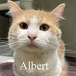 Photo of Albert