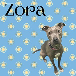 Photo of Zora