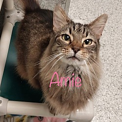 Photo of Amie