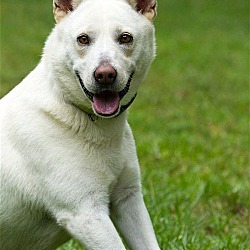 Thumbnail photo of Bailey #4