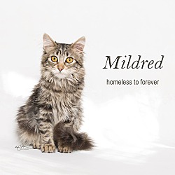 Photo of Mildred