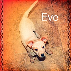 Thumbnail photo of EVE #2