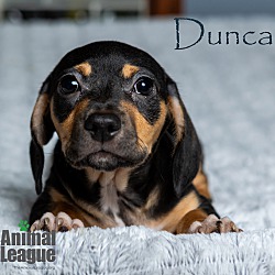 Thumbnail photo of Duncan #4
