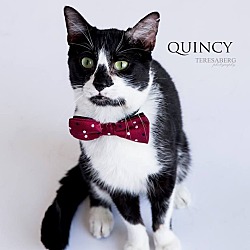 Thumbnail photo of Quincy #4