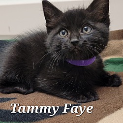 Photo of Tammy Faye