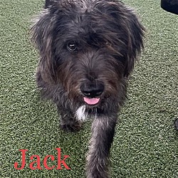 Photo of Jack