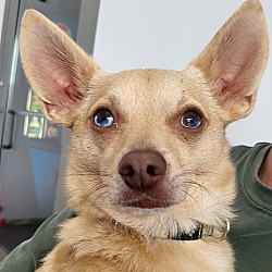 Photo of Butters