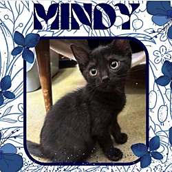 Thumbnail photo of Mindy #2