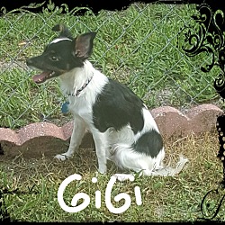Thumbnail photo of GiGI #3
