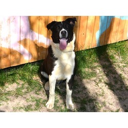 Photo of PEANUT