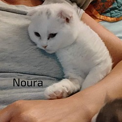 Thumbnail photo of Noura #1