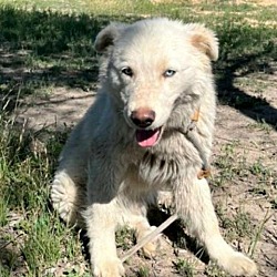 Photo of Theodore Elvis JuM