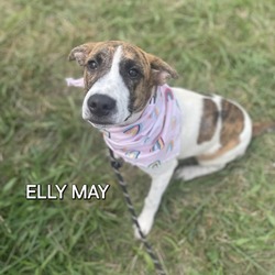 Thumbnail photo of Elly May #4