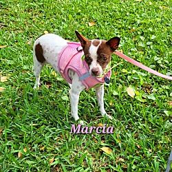Photo of Marcia