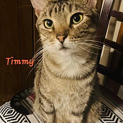Photo of Timmy