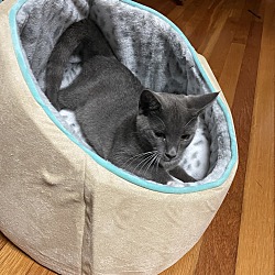 Photo of Blue