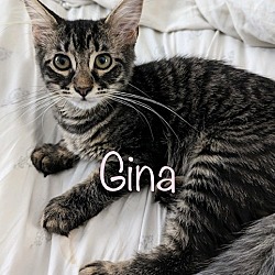 Photo of GINA