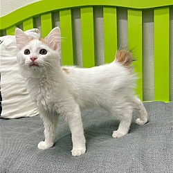 Photo of Marjorie
