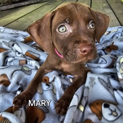 Photo of Mary