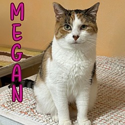 Thumbnail photo of Megan #2