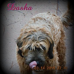 Thumbnail photo of Dasha #4