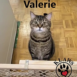 Thumbnail photo of Valerie #4
