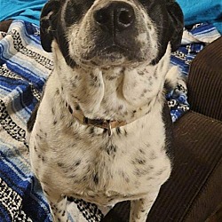 Photo of Maggie