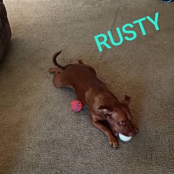 Photo of Rusty OS