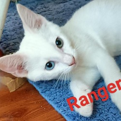 Photo of Ranger